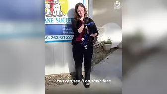 Shelter dogs' reactions to being adopted