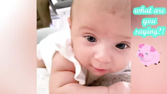 The Cutest Chubby Baby Compilation || Oh Baby