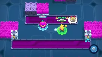 New Visual Bug with Some Pins | Brawl Stars #stuntshow