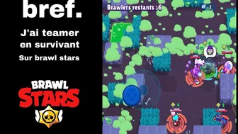 2 - Bref. J'AI TEAMER EN SURVIVANT SUR BRAWL STARS ( ça  tourne mal )????