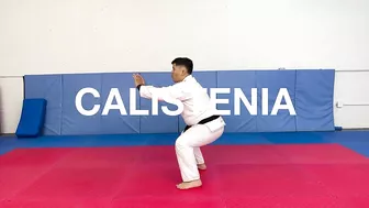 Ejercicios para Jiu Jitsu - Stretching