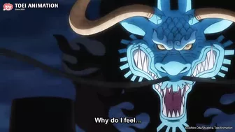 Zoro Makes Kaido Dodge | One Piece