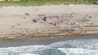 Ocean Mile Swim 2022 Delray Beach Florida -- DJI Mavic Zoom Drone and Sony FDR-AX53 Video