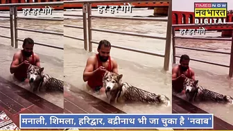 Kedarnath में कुत्ता लेकर पहुंचे Instagram Vlogger के खिलाफ दर्ज हो गया केस, बढ़ेंगी मुश्किलें?