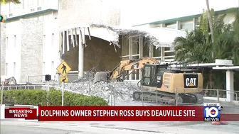 Dolphins owner to acquire Deauville in Miami Beach