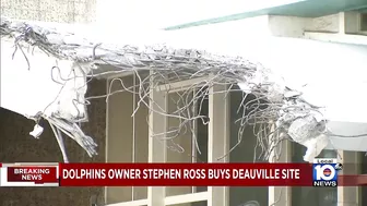 Dolphins owner to acquire Deauville in Miami Beach