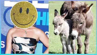 Celebrity Pet Quiz - Guess the Celebrity - Hardest Quiz