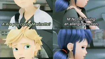 Adrienette memes || Miraculous funny memes || Mlb ladybug memes