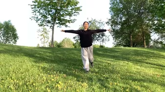 Crane Stretching - Five Animals Qigong