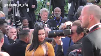 Adriana Lima, Izabel Goulart, Winnie Harlow and more models on the red carpet in Festival de Cannes