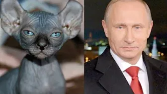 10 Cats Who Look Exactly Like Their Celebrity Doppelgangers