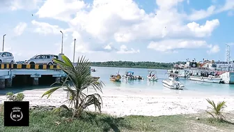 The Most Beautiful Beach|Havlock|Radha nagar beach|The best beach|world's largest beach|Andaman