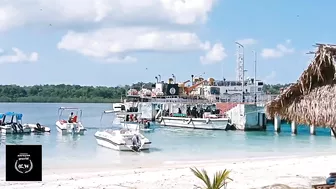 The Most Beautiful Beach|Havlock|Radha nagar beach|The best beach|world's largest beach|Andaman