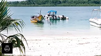 The Most Beautiful Beach|Havlock|Radha nagar beach|The best beach|world's largest beach|Andaman