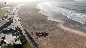 Huh?! Monster aangespoeld op het strand