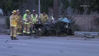 Pursuit Suspect Crashes Into Palm Tree, Dies | Huntington Beach