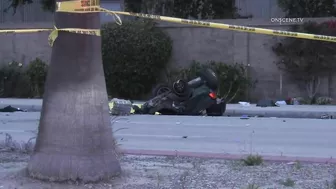 Pursuit Suspect Crashes Into Palm Tree, Dies | Huntington Beach