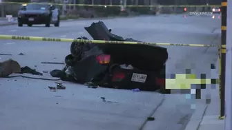 Pursuit Suspect Crashes Into Palm Tree, Dies | Huntington Beach