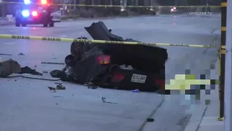 Pursuit Suspect Crashes Into Palm Tree, Dies | Huntington Beach