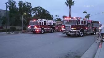 Pursuit Suspect Crashes Into Palm Tree, Dies | Huntington Beach