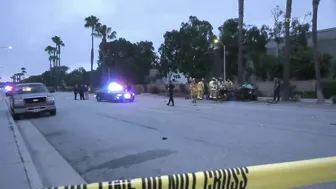 Pursuit Suspect Crashes Into Palm Tree, Dies | Huntington Beach