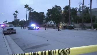 Pursuit Suspect Crashes Into Palm Tree, Dies | Huntington Beach