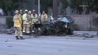 Pursuit Suspect Crashes Into Palm Tree, Dies | Huntington Beach