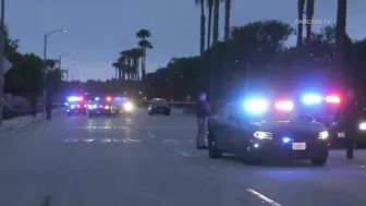 Pursuit Suspect Crashes Into Palm Tree, Dies | Huntington Beach