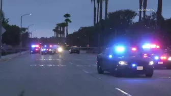 Pursuit Suspect Crashes Into Palm Tree, Dies | Huntington Beach