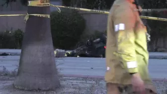 Pursuit Suspect Crashes Into Palm Tree, Dies | Huntington Beach