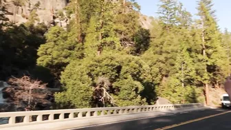 2 Minutes of Yosemite National Park (van life travel)