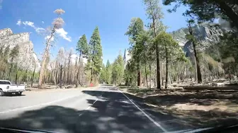 2 Minutes of Yosemite National Park (van life travel)