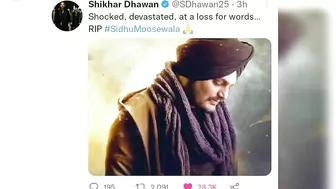 Celebrity Reaction On Sidhu Moose Wala Death | Sidhu Moose Wala Death | Twitter Reaction