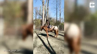 Horse Yoga