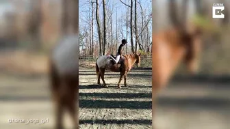 Horse Yoga