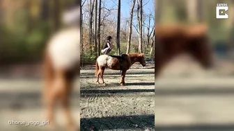 Horse Yoga