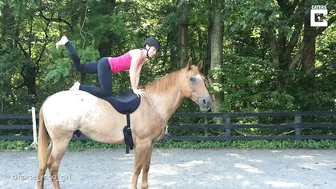 Horse Yoga