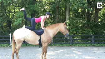 Horse Yoga