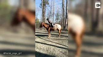 Horse Yoga