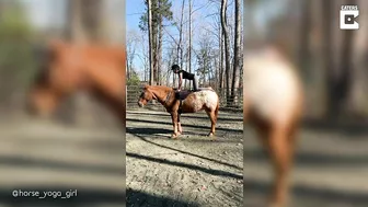 Horse Yoga