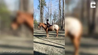 Horse Yoga