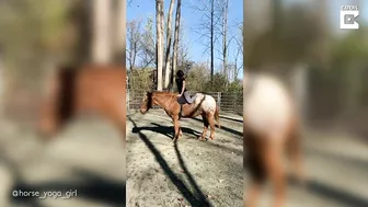 Horse Yoga