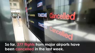 Travel CHAOS: Police Intervene as Hundreds of Flights Cancelled