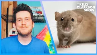 Indiana Man Goes Viral On TikTok For Befriending A Mouse