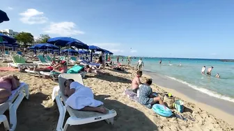 IBIZA Beach Summer - Beautifu Beach Fig Tree Cyprus Sandy Beach Sunny Walking 4k