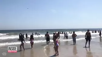 ‘Monster’ Shark Spotted Off New York Beach