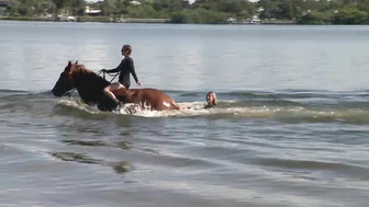 You can swim with a horse along this Florida beach