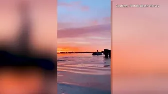 You can swim with a horse along this Florida beach