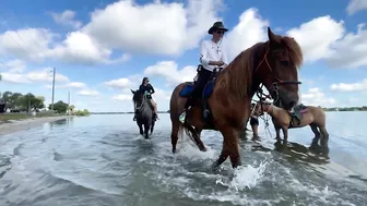 You can swim with a horse along this Florida beach