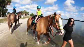 You can swim with a horse along this Florida beach